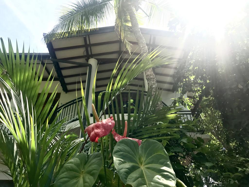 היקדואה Mount Nature Villa חדר תמונה